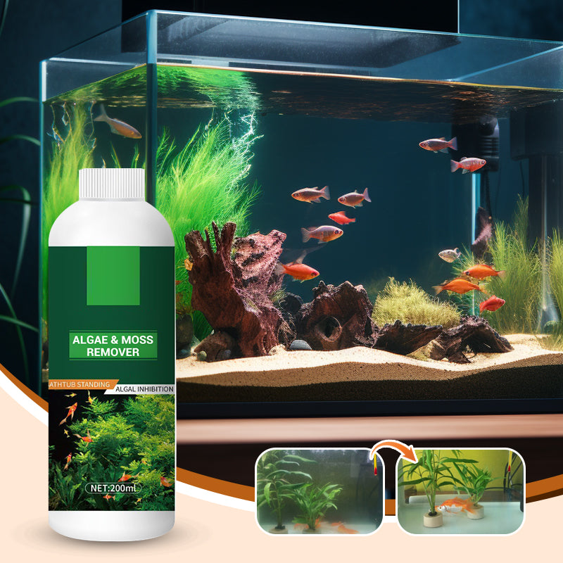 🎉Mehr kaufen, mehr sparen💥 Algen- & Moosentferner für das Aquarium - Sichere Wasseraufbereitung
