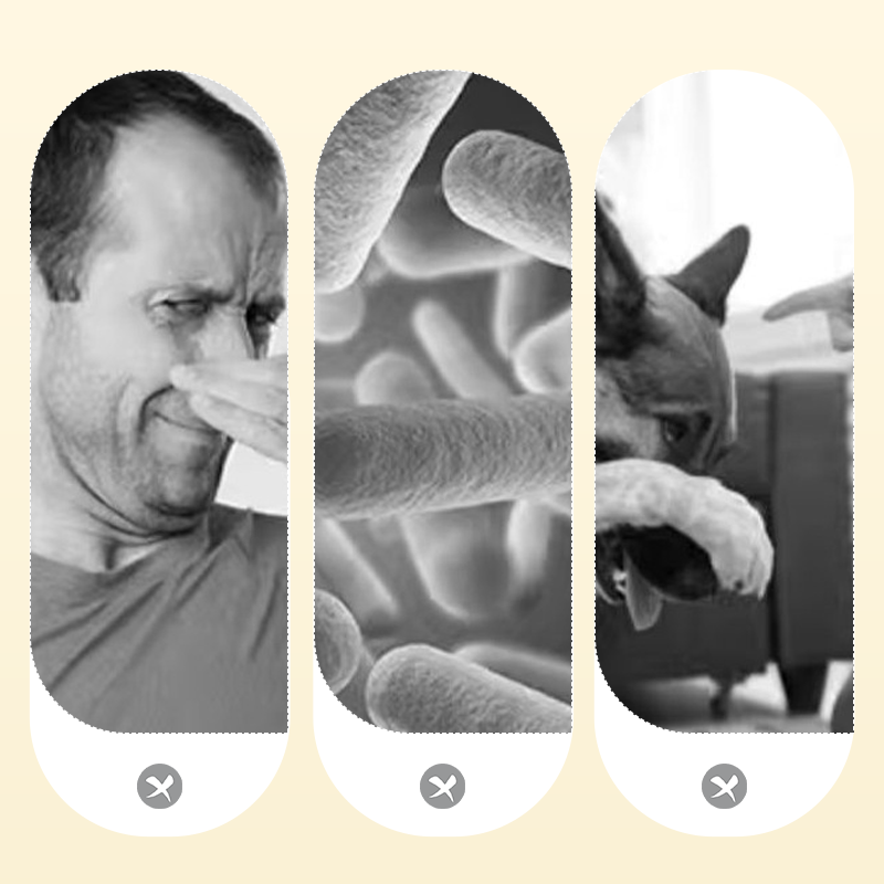 120 ml Starker Geruchsentferner-Spray für Haustiere