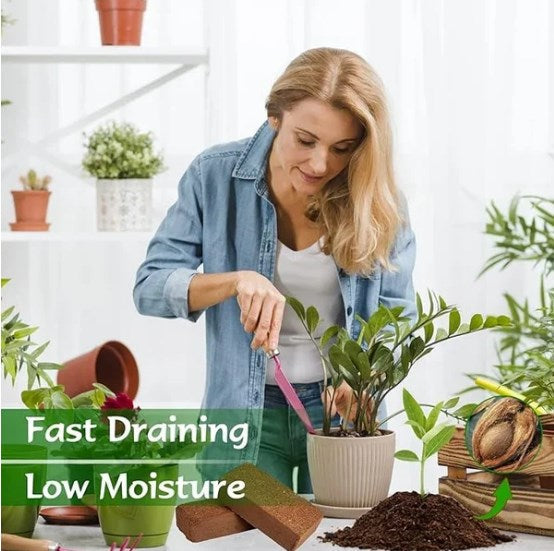 🎁 Aktion 🌱 Organische Kokoserde für Pflanzen