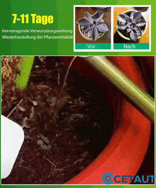 🪴Kaufen Sie 3 für 5 (8 Flaschen)🌼🌱 Pflanzenwachstums-Booster – Schnelle Wurzeln, üppige Blüten & gesundes Gemüse in 7 Tagen!✨