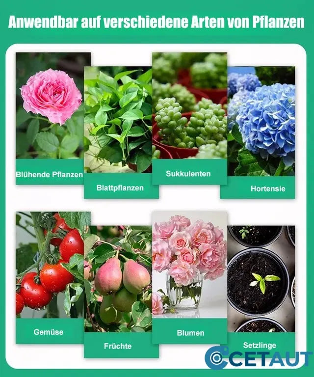 🪴Kaufen Sie 3 für 5 (8 Flaschen)🌼🌱 Pflanzenwachstums-Booster – Schnelle Wurzeln, üppige Blüten & gesundes Gemüse in 7 Tagen!✨