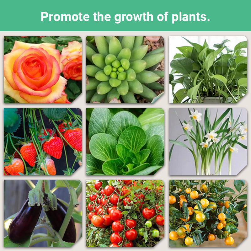 🌟1 kaufen 1 gratis💥 Langzaam vrijkomende organische meststof in stickvorm voor kamerplanten