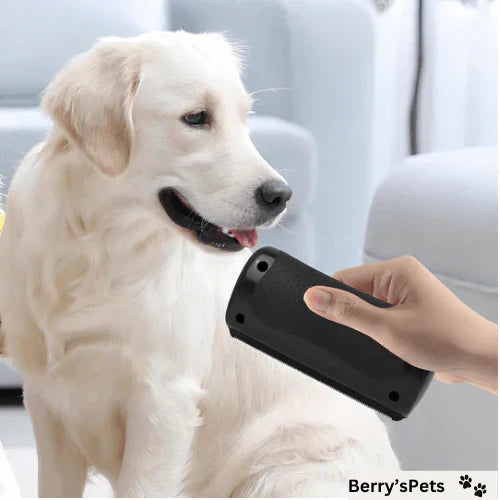 Multifunctional comb for detangling and grooming animal hair