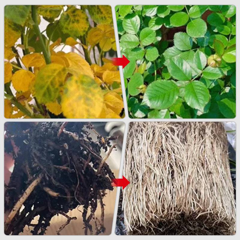 🌱 Umweltschutz ist der Trend, Grün ist die Einstellung! ⏰Fast-wirkende Nährlösung für Pflanzen