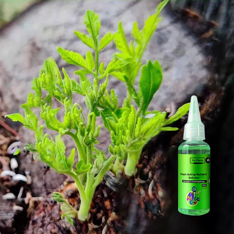 🌱 Umweltschutz ist der Trend, Grün ist die Einstellung! ⏰Fast-wirkende Nährlösung für Pflanzen