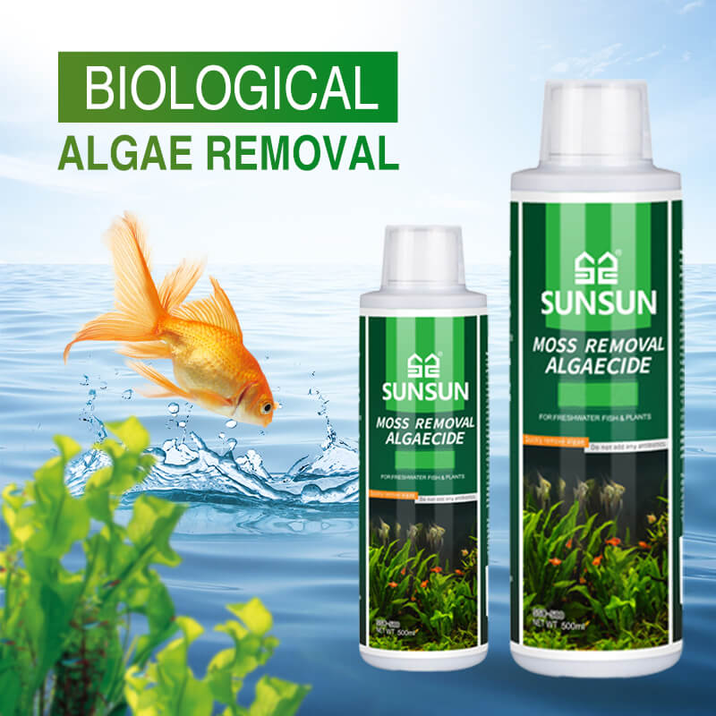 Moosentferner für Aquarien