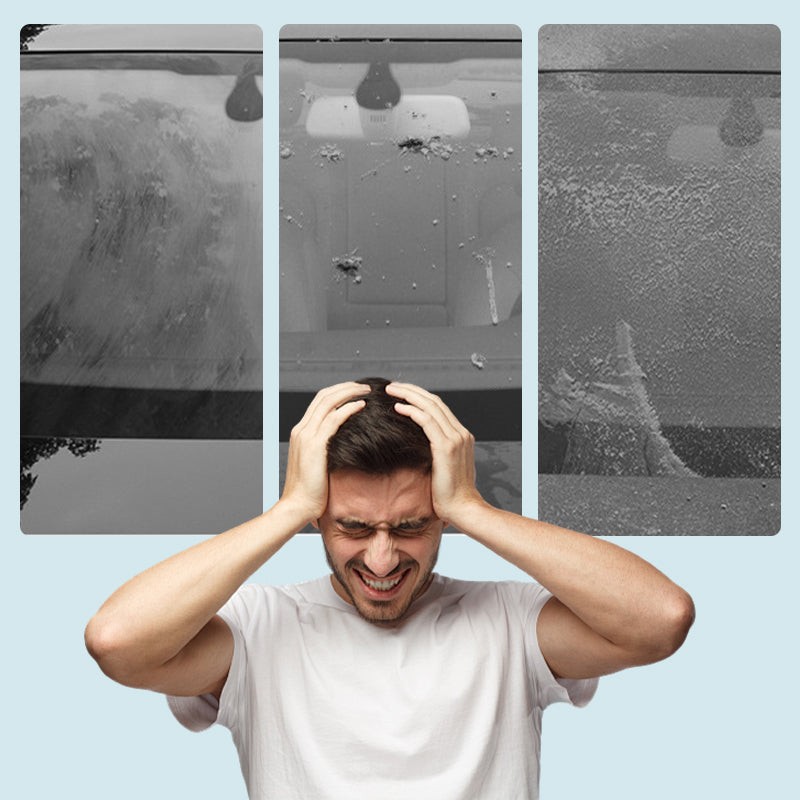 🔥Neu im Sortiment - zeitlich begrenzt reduziert!🔥🚗Heidelbeer-Scheibenwaschmittel-Konzentrat