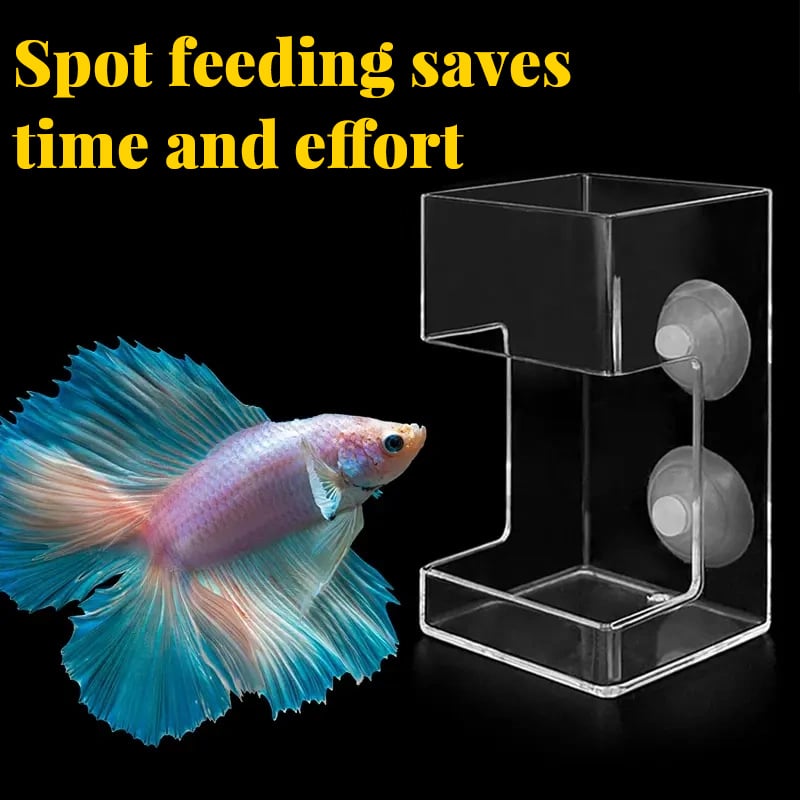 Aquarium Futterring und Tablett