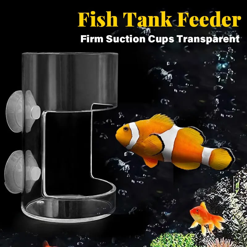 Aquarium Futterring und Tablett