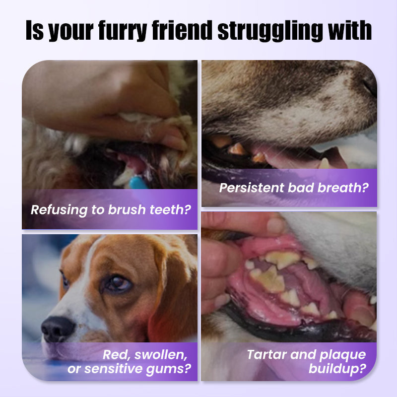 🐶Fresh Breath Mundpflege-Mousse für Haustiere😸