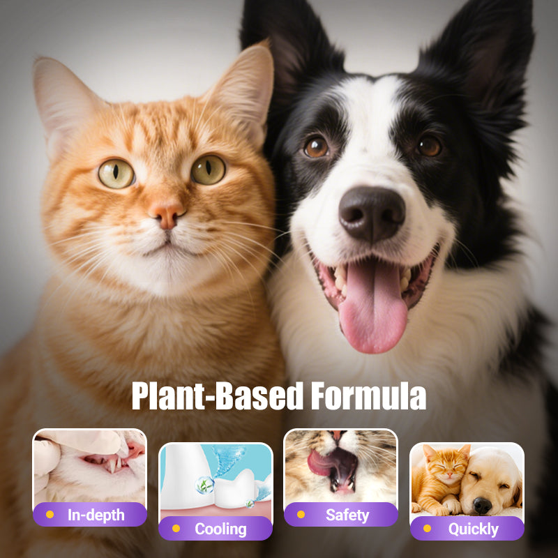 🐶Fresh Breath Mundpflege-Mousse für Haustiere😸