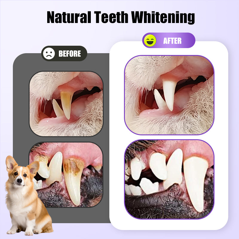 🐶Fresh Breath Mundpflege-Mousse für Haustiere😸