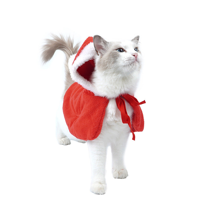 đ
Niedliche Weihnachts-Outfits fĂŒr Hunde & Katzen â Mach dein Haustier winterbereit!