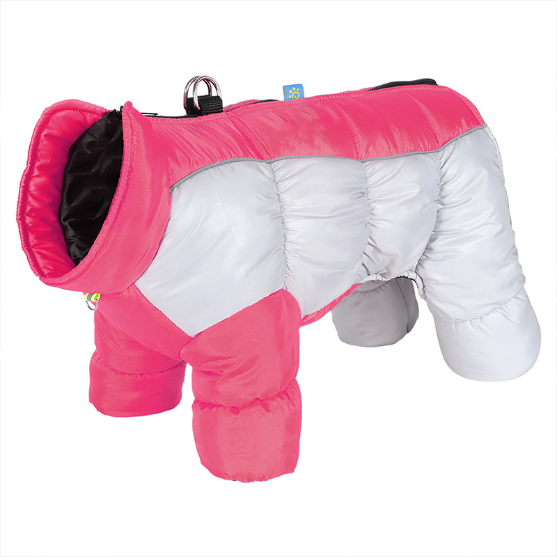 ❄️ Winterangebot: 50% Rabatt! – Wasserdichte reflektierende Winterjacke für kleine Hunde, warm gefüttert & bequem