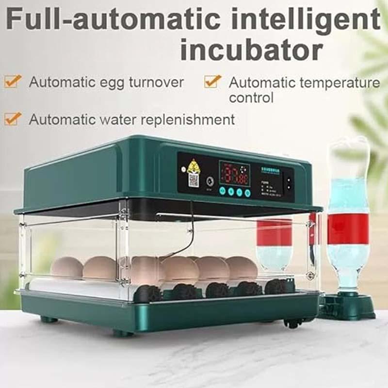 Produktbild von SOULONG Automatischer Inkubator – 4 Eier Brutschrank Für Hühner, Enten, Wachteln & Mehr