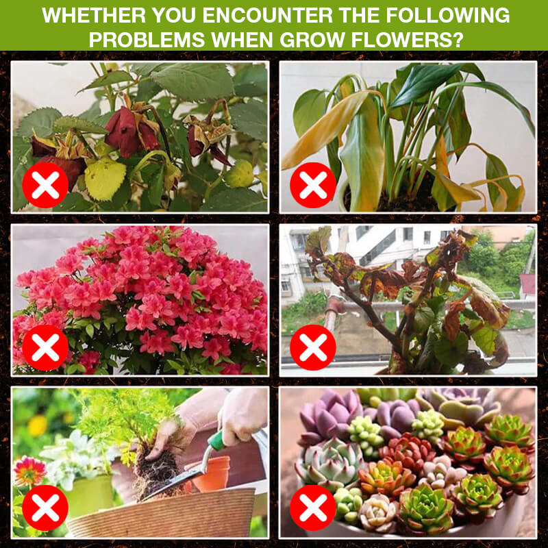 Nahrungsergänzungsmittel zur Steigerung des Pflanzenwachstums🌿