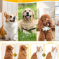 Multifunctional comb for detangling and grooming animal hair