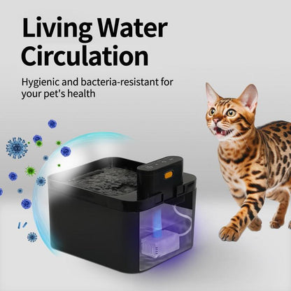 🐱 Edelstahl-Trinkbrunnen für Katzen & Hunde 💧 2,2L Fassungsvermögen, USB-Betrieb & Fließendes Wasser