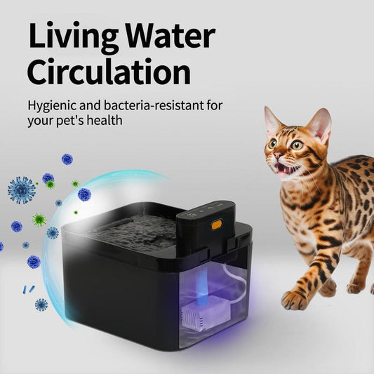 🐱 Edelstahl-Trinkbrunnen für Katzen & Hunde 💧 2,2L Fassungsvermögen, USB-Betrieb & Fließendes Wasser