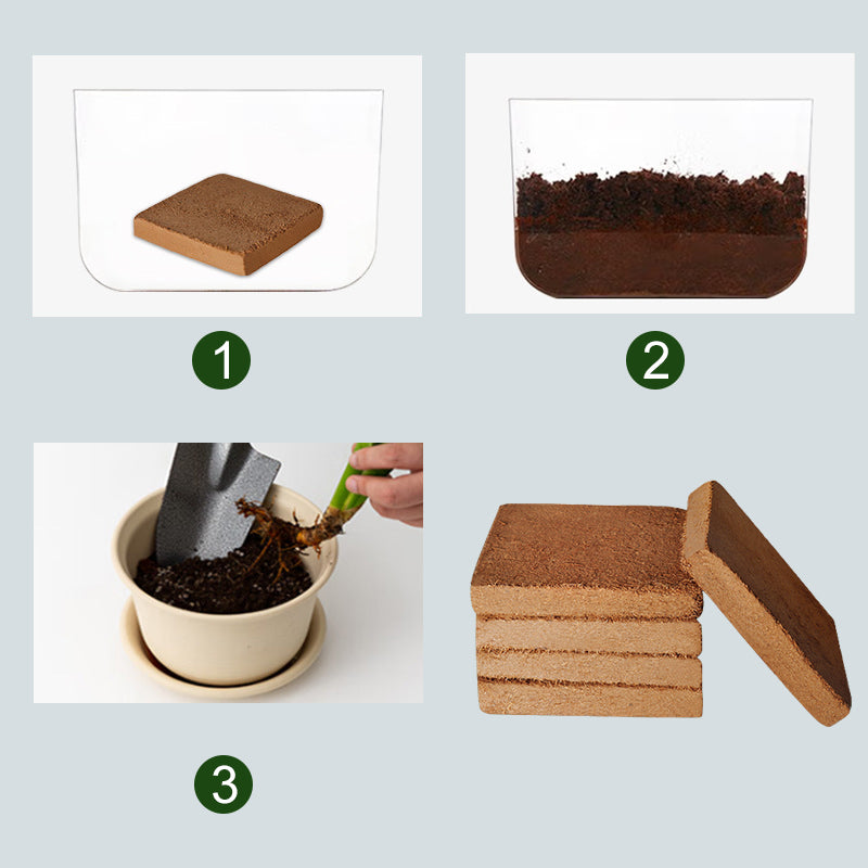 🎁 Aktion 🌱 Organische Kokoserde für Pflanzen