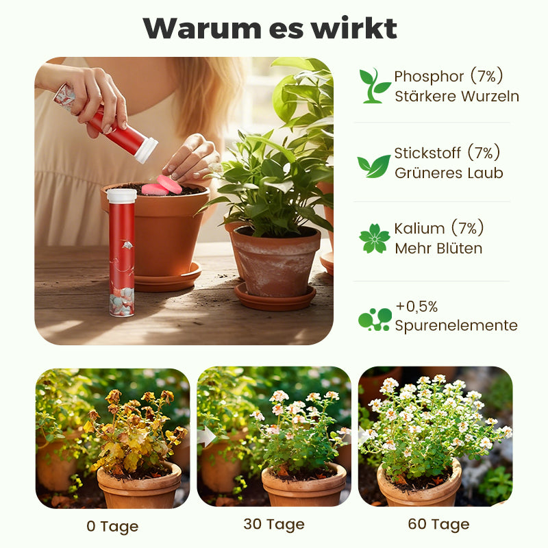 🔥2025 Blumen glücklich machen – ganz ohne Aufwand!Bio-Dünger Tabletten | Langzeitwirkung für üppige Pflanzen | 50% Rabatt 🌱