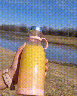 🔥Zeitlich begrenzter Raubüberfall✨Neuer Verkauf 2025✨Tragbarer Mixer für frischen Saft