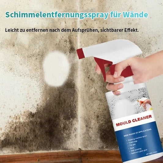 Schimmel- & Flechtenentferner Schaum – Tiefenreiniger gegen Stockflecken an Fugen, Silikon & Wänden mit Langzeitschutz ✨🚿🧼