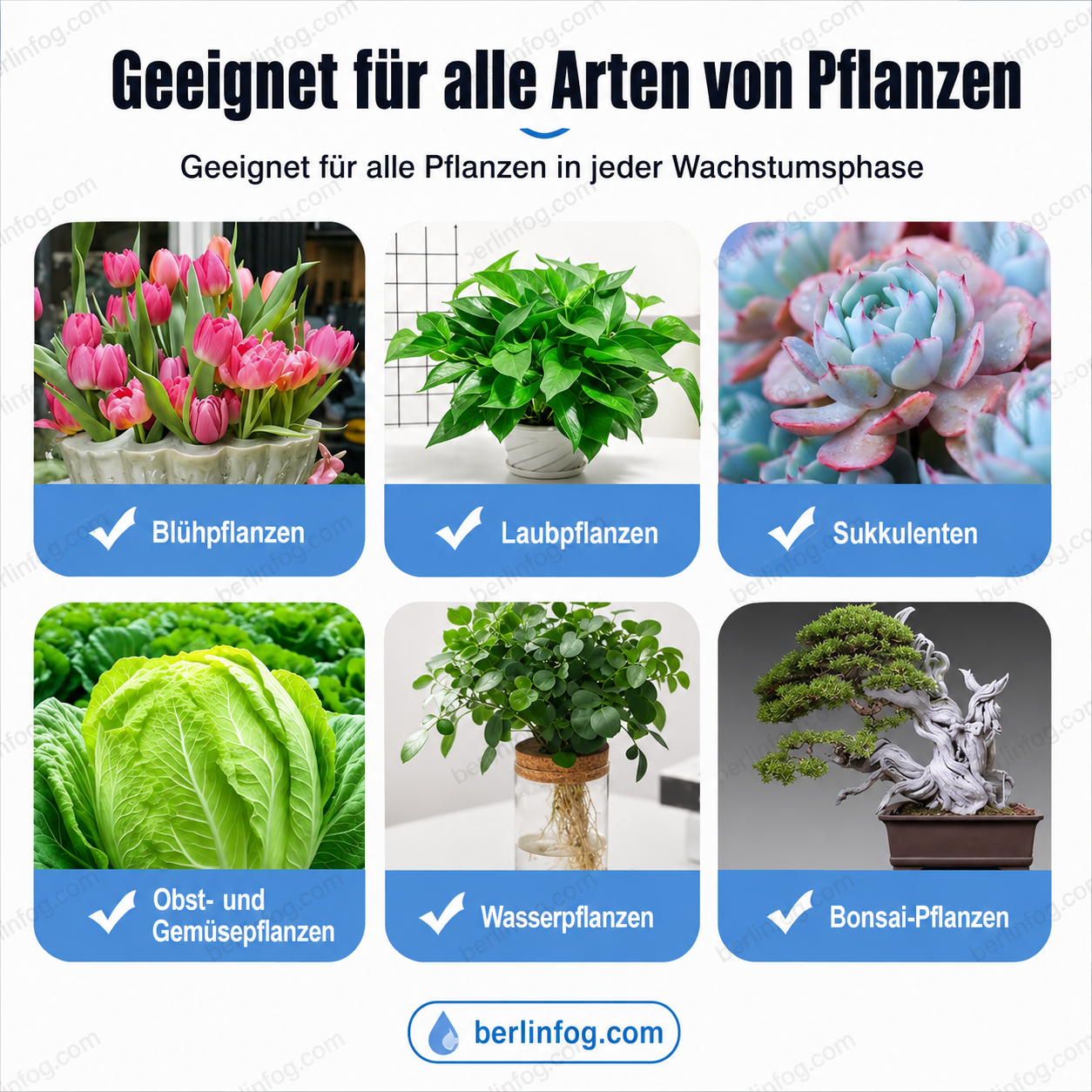 🧑‍🌾 50 % Rabatt – Universeller Pflanzendünger mit Sprühfunktion – für Blumen, Grünpflanzen & Gemüse, 3-in-1 Blatt- & Wurzeldüngung 🌱