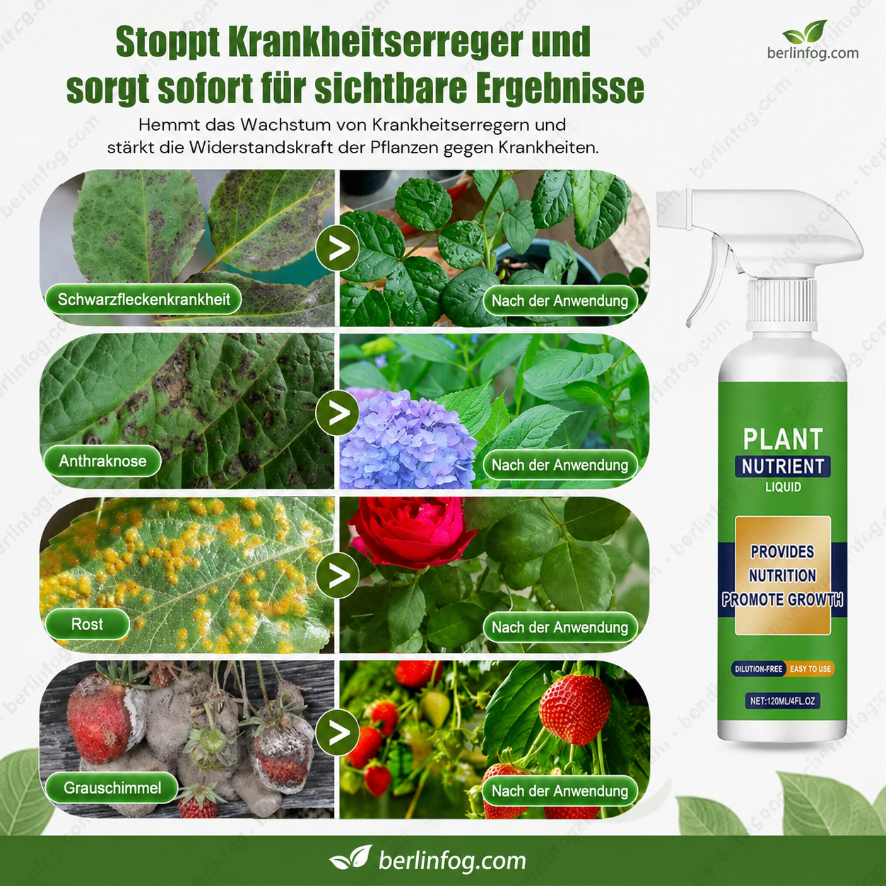 🧑‍🌾 50 % Rabatt – Universeller Pflanzendünger mit Sprühfunktion – für Blumen, Grünpflanzen & Gemüse, 3-in-1 Blatt- & Wurzeldüngung 🌱