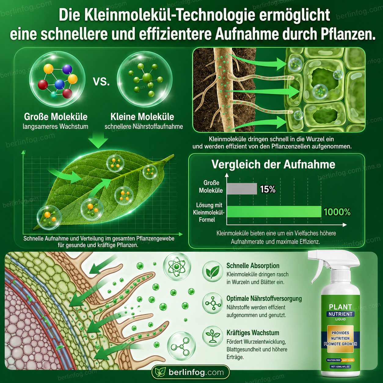 🧑‍🌾 50 % Rabatt – Universeller Pflanzendünger mit Sprühfunktion – für Blumen, Grünpflanzen & Gemüse, 3-in-1 Blatt- & Wurzeldüngung 🌱
