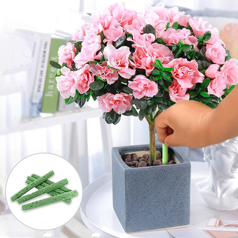 🌟1 kaufen 1 gratis💥 Langzaam vrijkomende organische meststof in stickvorm voor kamerplanten
