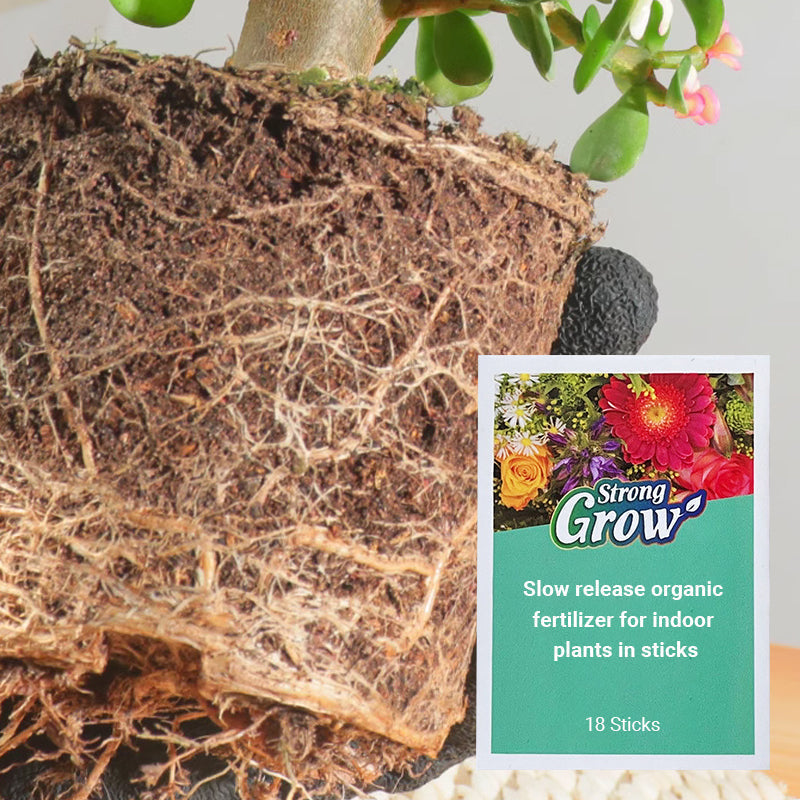 🌟1 kaufen 1 gratis💥 Langzaam vrijkomende organische meststof in stickvorm voor kamerplanten