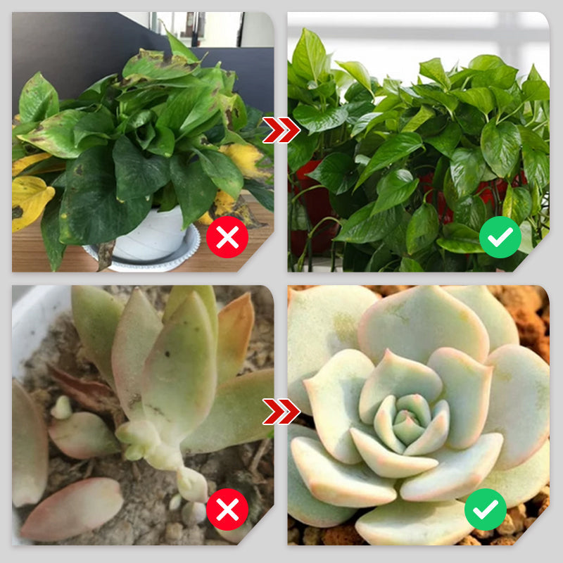 🌟1 kaufen 1 gratis💥 Langzaam vrijkomende organische meststof in stickvorm voor kamerplanten