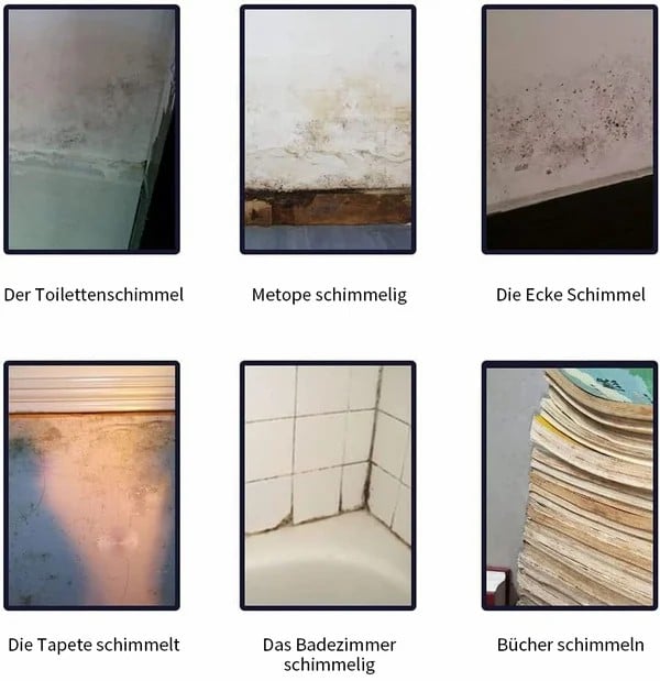 Schimmel- & Flechtenentferner Schaum – Tiefenreiniger gegen Stockflecken an Fugen, Silikon & Wänden mit Langzeitschutz ✨🚿🧼