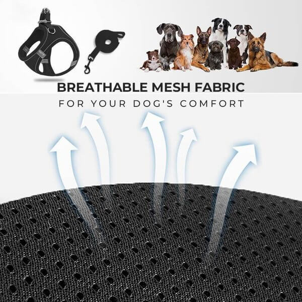 Brustgeschirr mit reflektierender Leine – atmungsaktiv, gepolstert & sicher – für Hunde & Katzen🐾