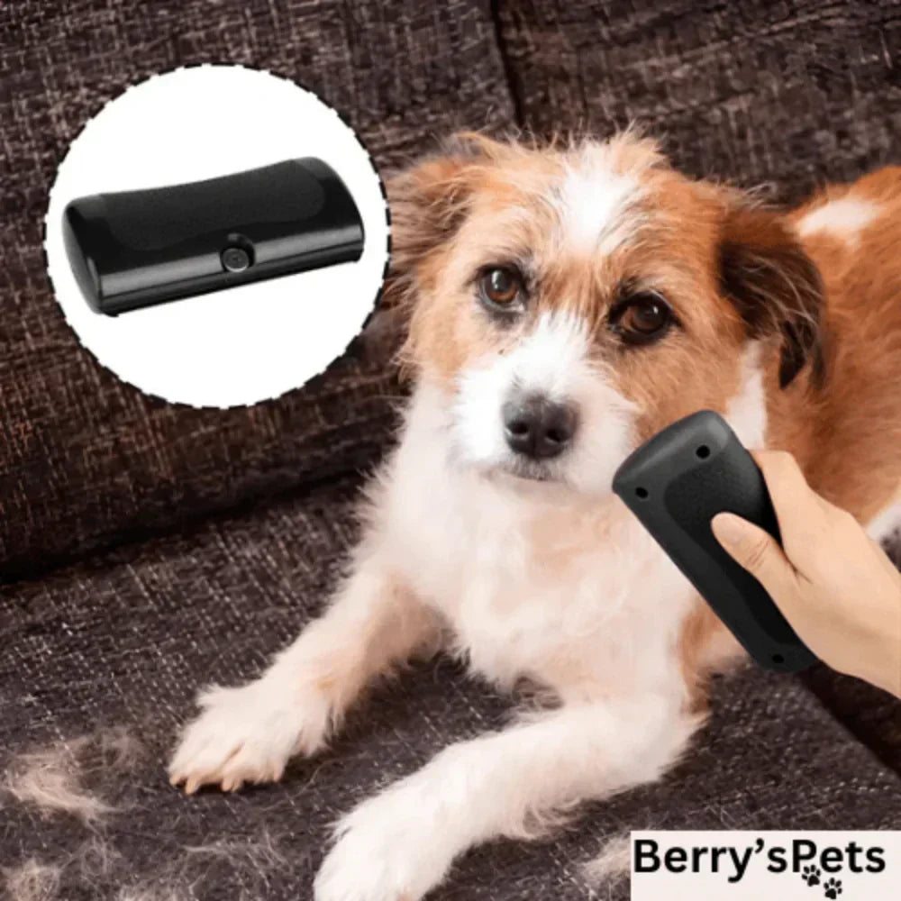 Multifunctional comb for detangling and grooming animal hair