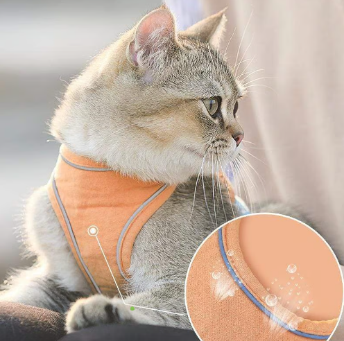 Brustgeschirr mit reflektierender Leine – atmungsaktiv, gepolstert & sicher – für Hunde & Katzen🐾