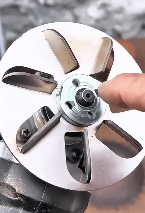 Arbeitssparende Schweinehaarentferner-Schaberscheibe