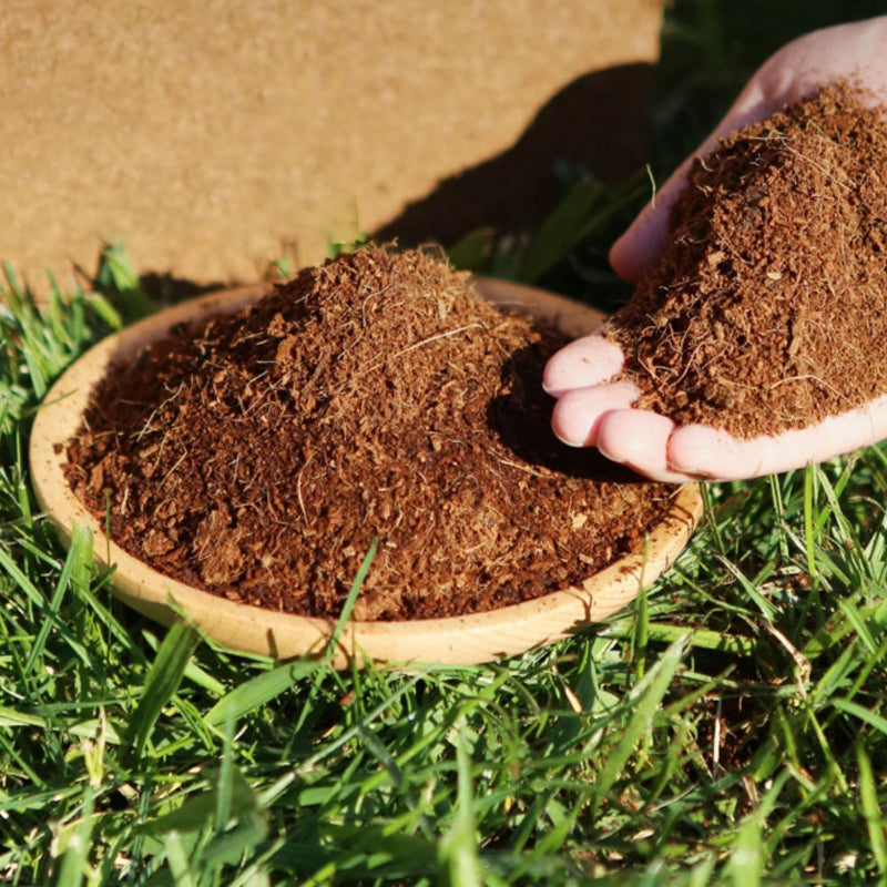 🎁 Aktion 🌱 Organische Kokoserde für Pflanzen