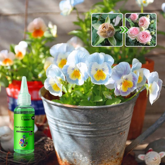 🌱 Umweltschutz ist der Trend, Grün ist die Einstellung! ⏰Fast-wirkende Nährlösung für Pflanzen
