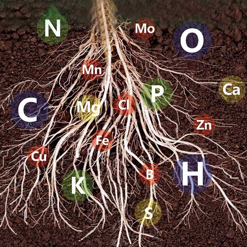 🌱 Umweltschutz ist der Trend, Grün ist die Einstellung! ⏰Fast-wirkende Nährlösung für Pflanzen