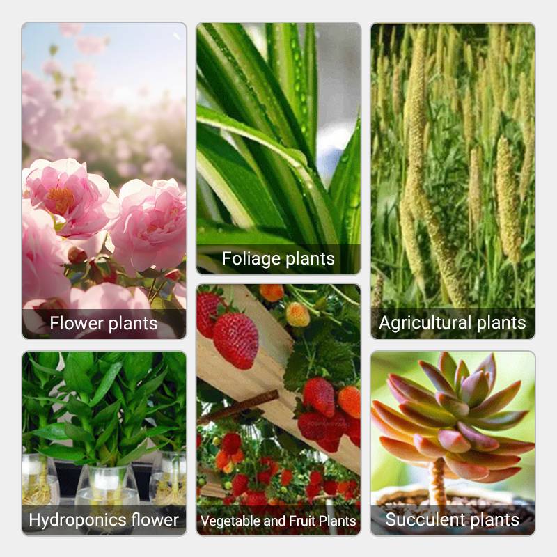 🌱 Umweltschutz ist der Trend, Grün ist die Einstellung! ⏰Fast-wirkende Nährlösung für Pflanzen