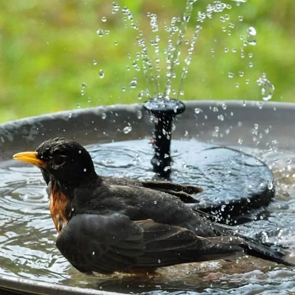 🎁HOT SALE 50% OFF 🎁Solar Powered Fountain
