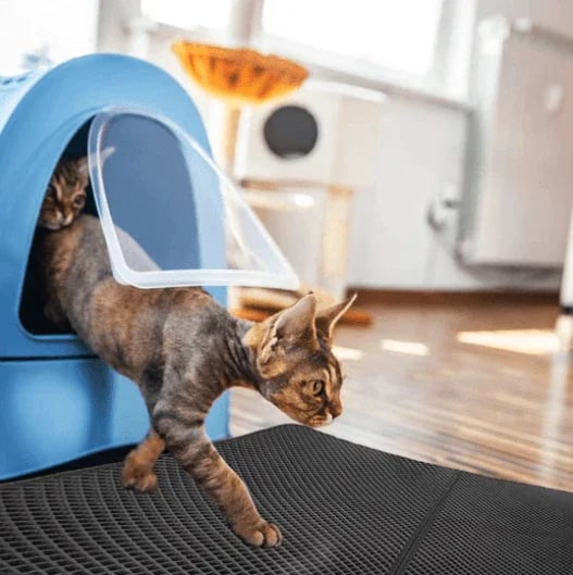 Doppellagige, rutschfeste Katzenstreu-Matte für Haustiere - bis zu 50% Rabatt