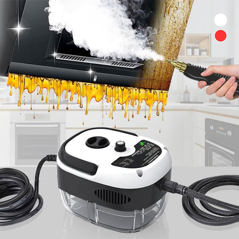 🔥Großer Sommer-Sale!🔥2500W-Handdruck-Hochtemperatur-Dampfreinigungsmaschine