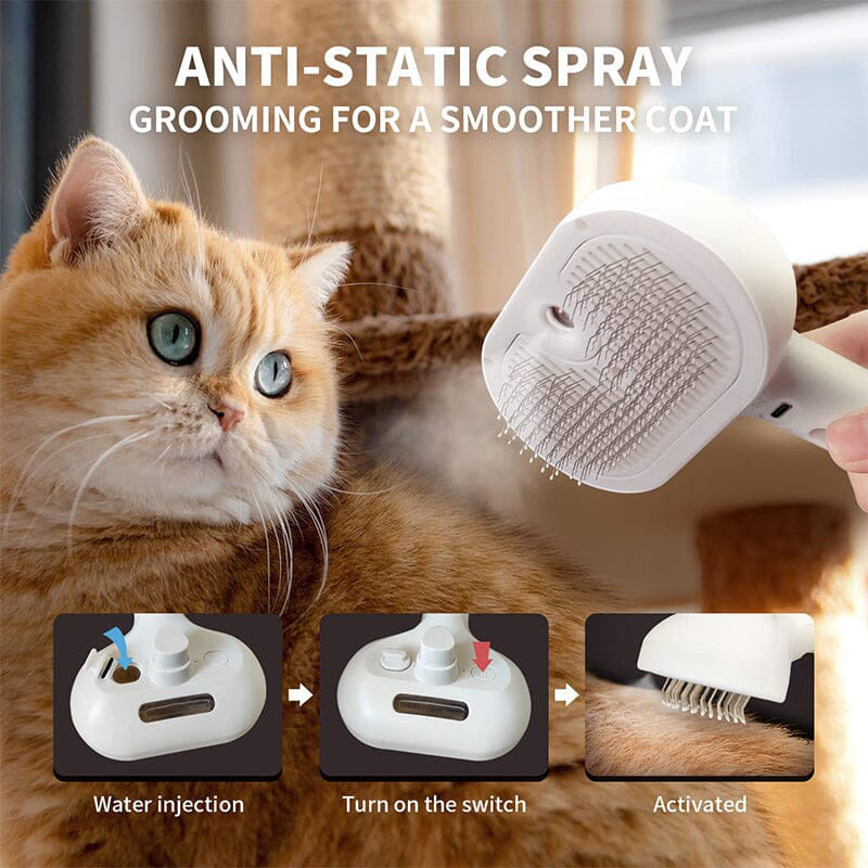 Katzenbürste zum Sprühen