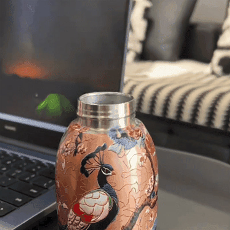50% RABATT! 🍶 Mini-Thermosflasche mit Tragering – tragbar für Outdoor, Auto & unterwegs