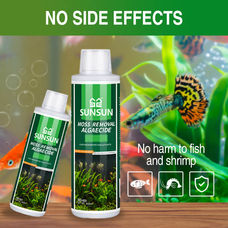Moosentferner für Aquarien