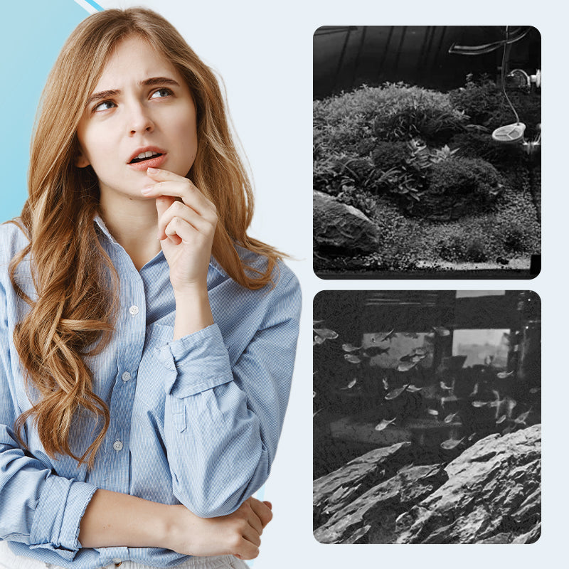 💯 Für begrenzte Zeit zum halben Preis – Magnetische Glas-Scheuerbürste für Aquarien