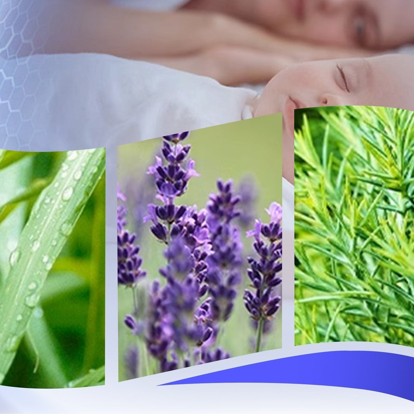 Pflanzliches Repellent für Babys & Kinder – mit Citronella-Duft – praktischer Duftspender für Innen & Außen – ideal für den Sommer🦟👶